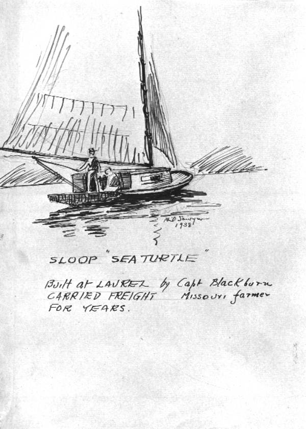 "Sea Turtle", sloop drawn by Philip Ayers Sawyer