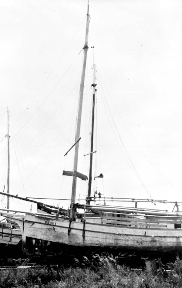Sloop named "May Queen" - Tarpon Springs, Florida