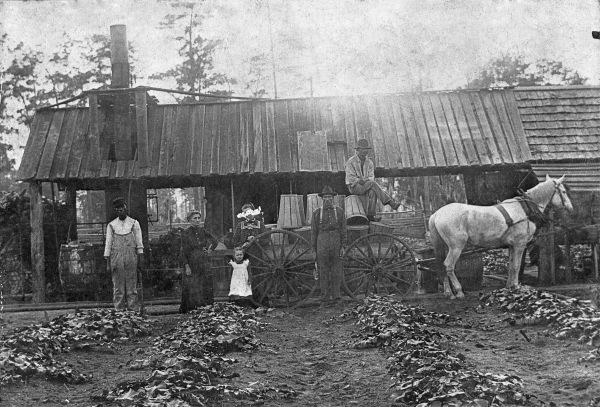Stephens family - Sumter County, Florida
