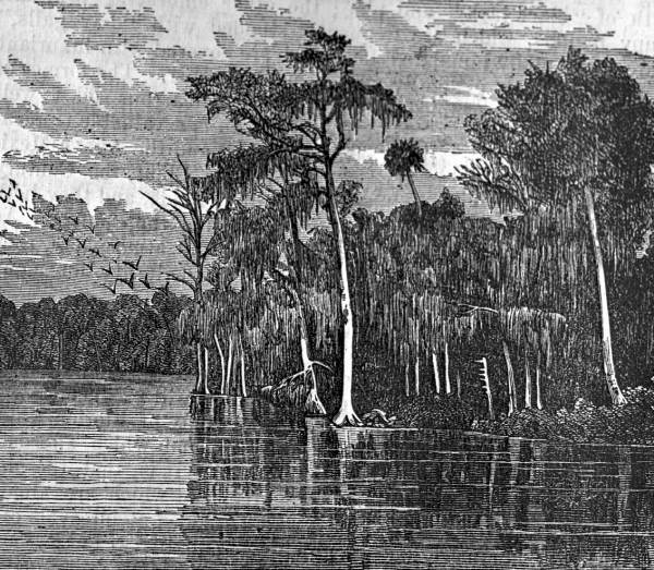 Engraving of Lake Monroe