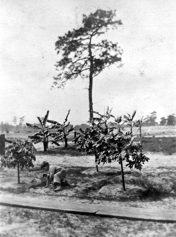 Virginia Ahern playing with her puppy - Babson Park, Florida