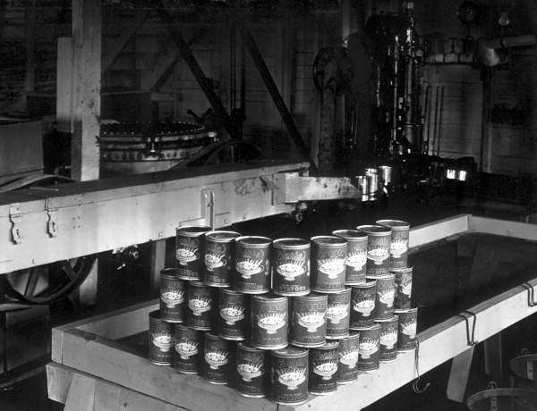 Interior of Irish potato canning plant - Bunnell, Florida