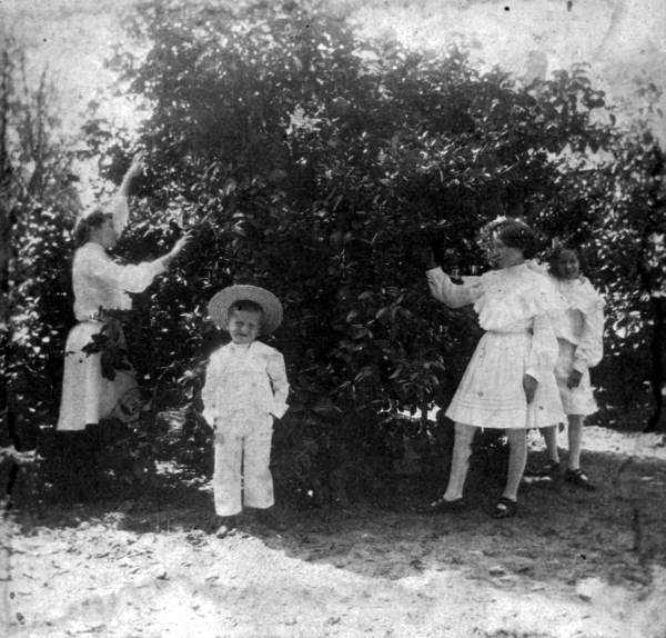 Mother and children picking citrus - Leesburg, Florida