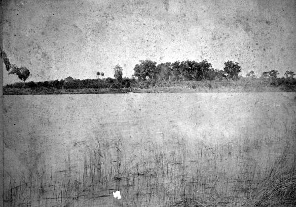 Big Talbot Island - Duval County, Florida