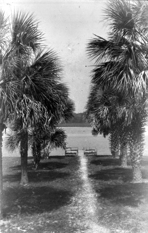 Trail between palms leading to a small pier - Fort George Island, Florida