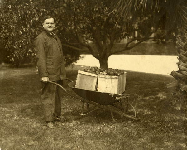 Governor John Martin with apples in a wheelbarrow