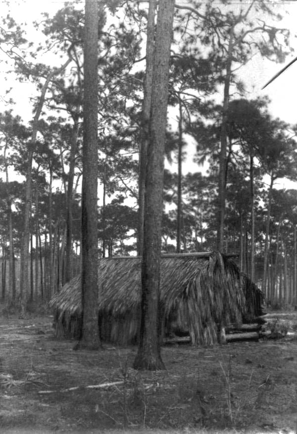 Palmetto hut: Arcadia, Fla..
