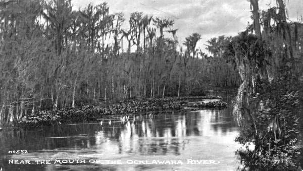 Near the mouth of the Ocklawaha River.