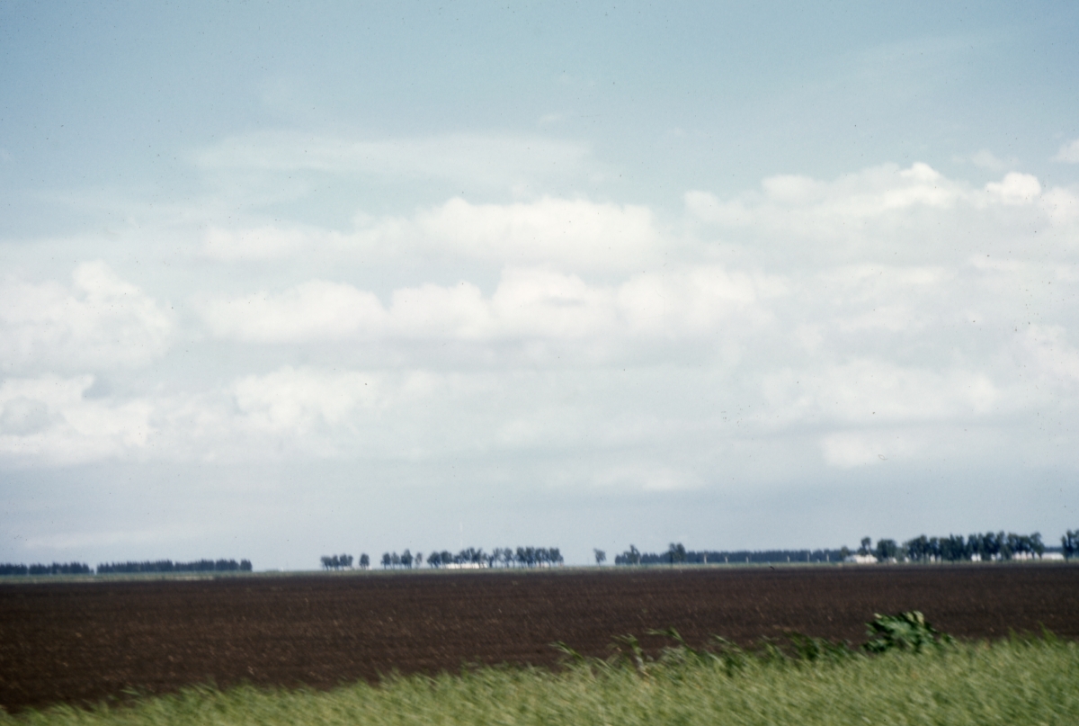 Rich farm land - Pahokee, Florida