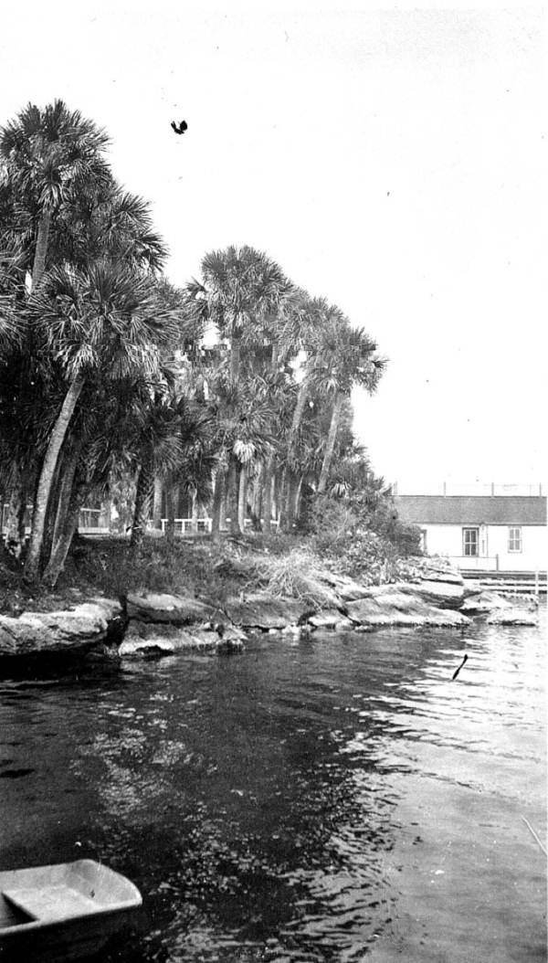 Exposure of coquina along Indian River - near Rockledge