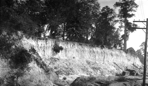 Cut of the A.C.L. railroad - Camp Perry, Florida