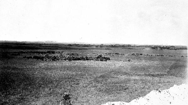 View of Everglades looking south and west from dredge "Everglades"