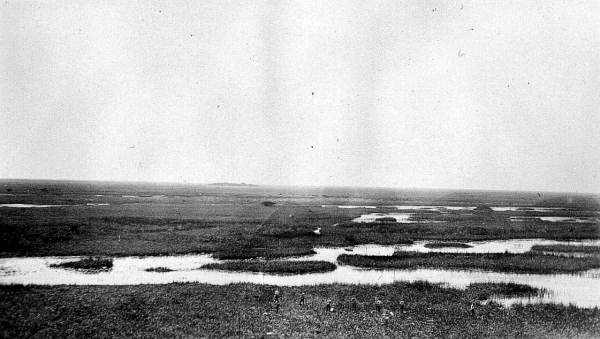 Everglades looking west from the "Okeechobee" dredge