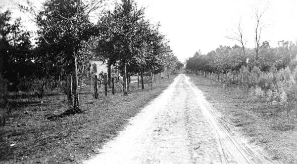 Road made from shells shipped from De Leon Springs - Pierson, Florida