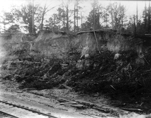 Cut in the G.F.A. Railroad - Florence, Florida