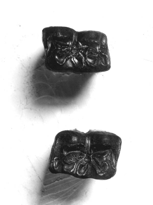 Teeth of Equus