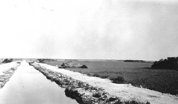 Everglades on South New River Canal