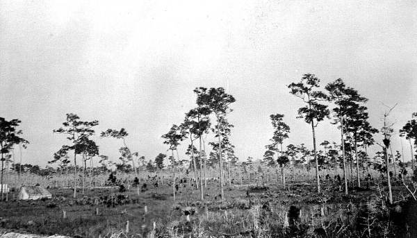 Indian camp near canal out from West Palm Beach.