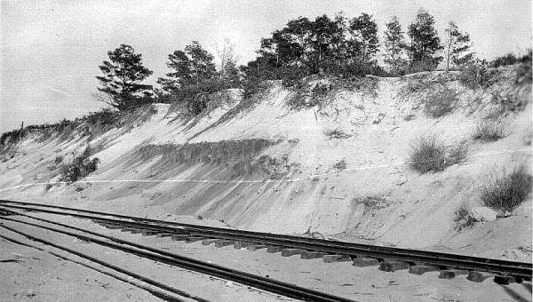 Florida Memory • Cut through Pleistocene sand ridge showing yellow sand ...