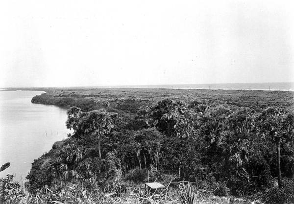 Looking north from Turtle Mound kitchen-midden - about eleven miles south of New Smyrna