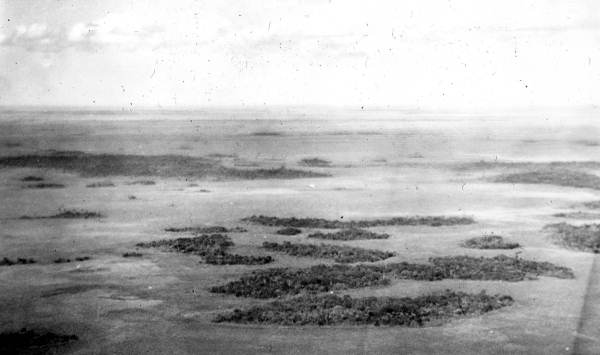 Aerial view of marl prairie and hammock south of Pincrest