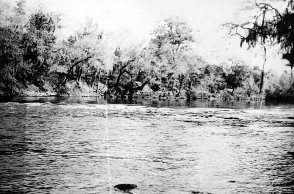 Trembling Rapids at Chipola River
