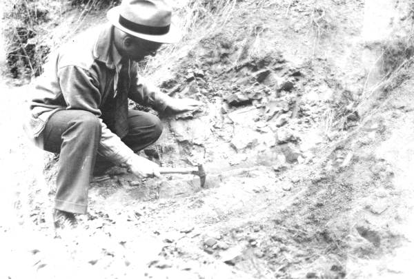 View of plant-bearing clay - near Lamberts Station at milepost 27 on the M&O railroad cut