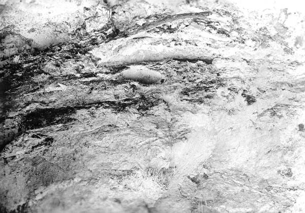 Stratigraphy of the Vero site