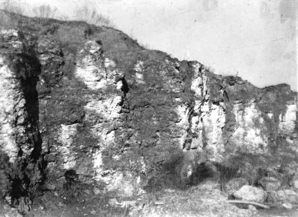Twenty-three feet of Ocala Limestone