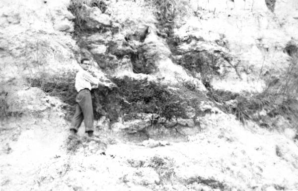Miocene exposure on the west side of Jim Woodruff Dam site