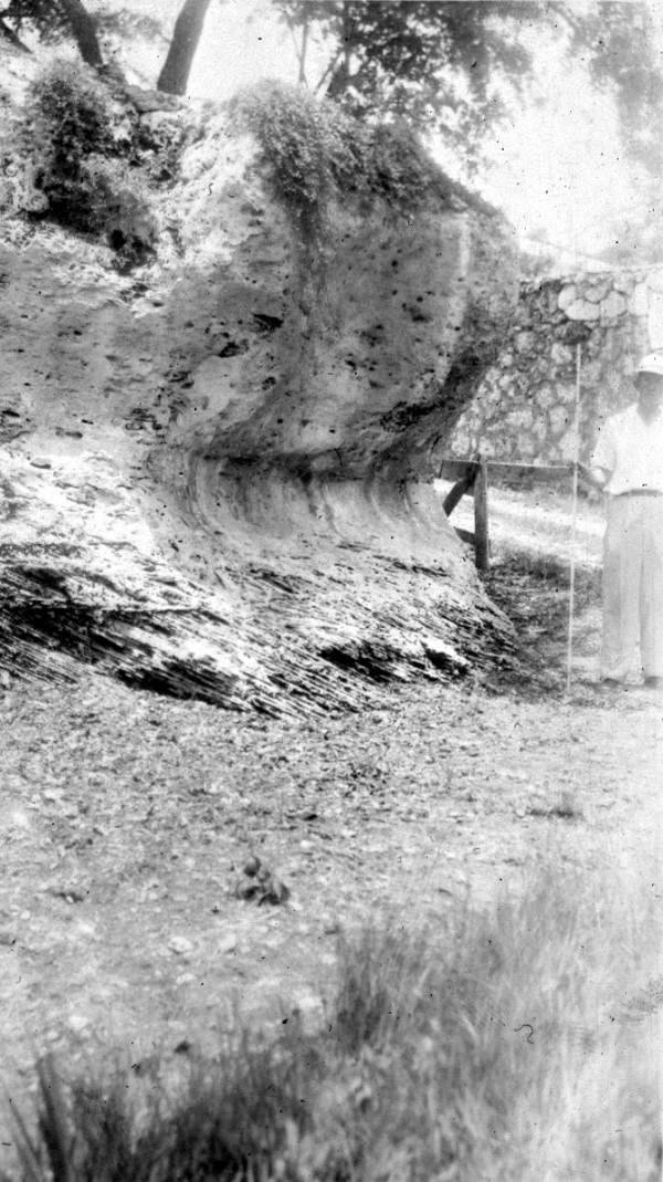 Standing beside the wave notch at Silver Bluff, Miami, Florida.