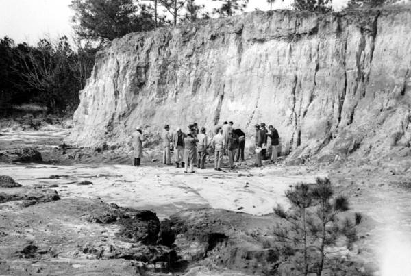 Exposure of a Formation of the Hawthorne Group near Torreya State Park