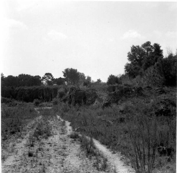 Panorama of an abandoned mine of the Ocala Group