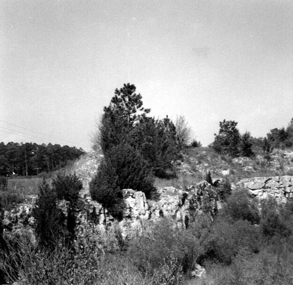 Panorama of an abandoned mine of the Ocala Group