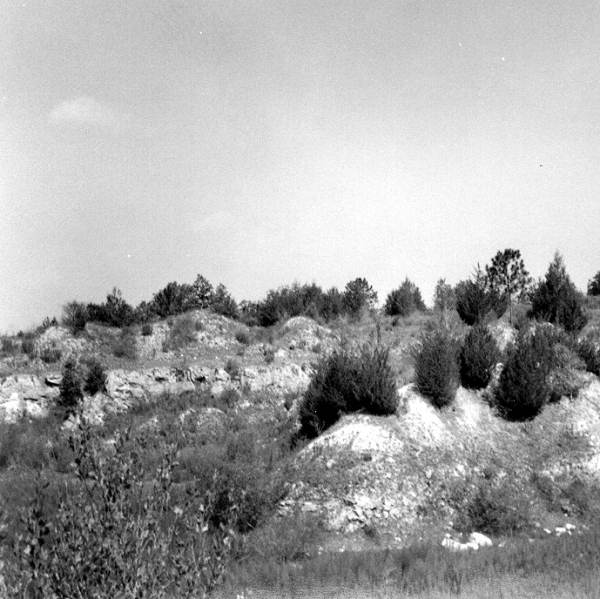 Panorama of an abandoned mine of the Ocala Group
