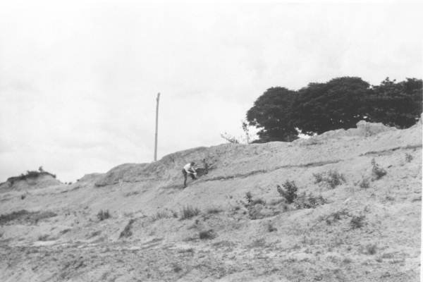 Clay in railroad cut at Round Lake - Jackson County, Florida