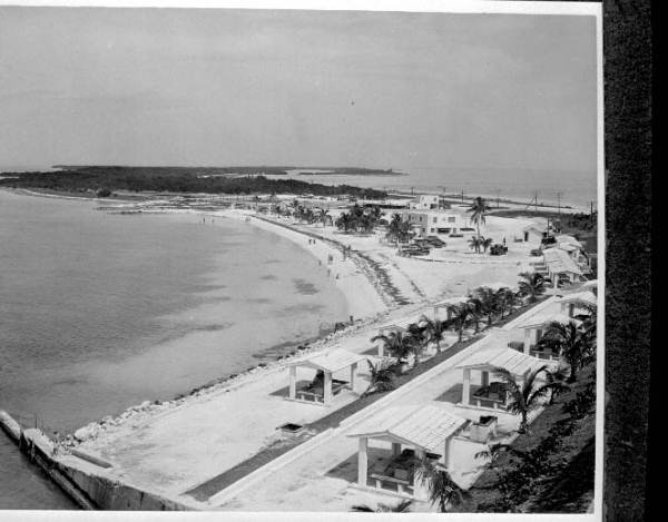Aerial view of beach and picnic area