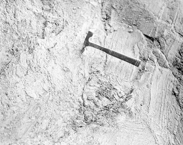 Cross-bedding at Mosquito Creek