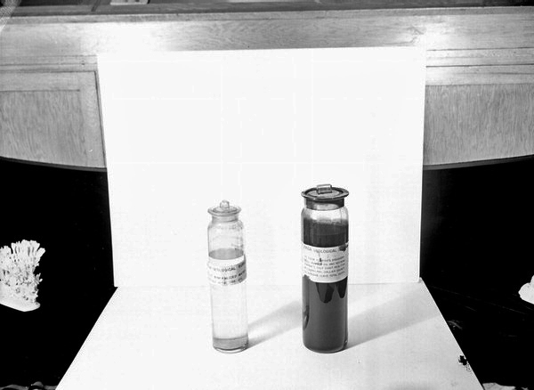 Water and oil samples