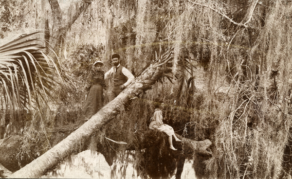 Family standing among moss-covered oaks and palms in Key West, Florida.