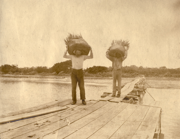 Men carrying pineapples to boat.