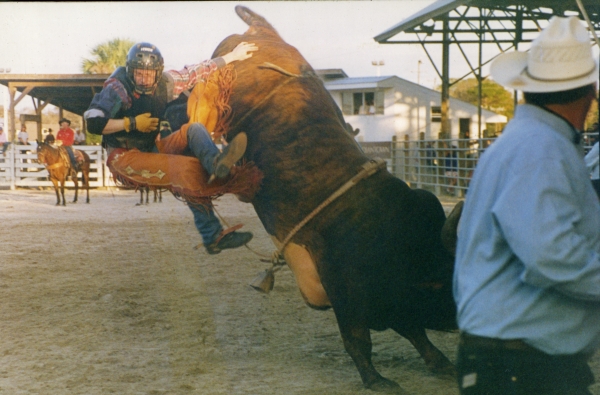 Bull riding at Cattlemen's Arena in Okeechobee.