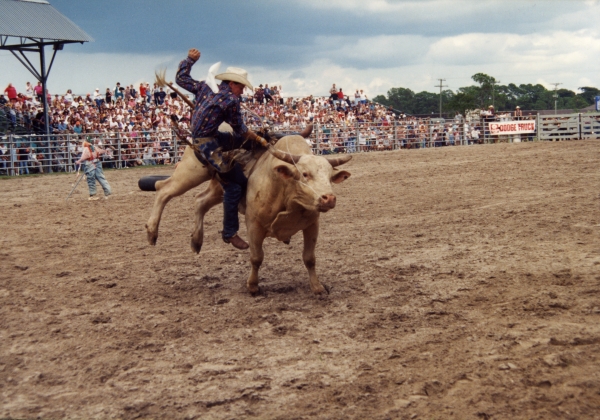 Bull riding at Cattlemen's Arena during rodeo in Okeechobee.