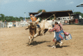 Bull riding at the Labor Day rodeo in Okeechobee.