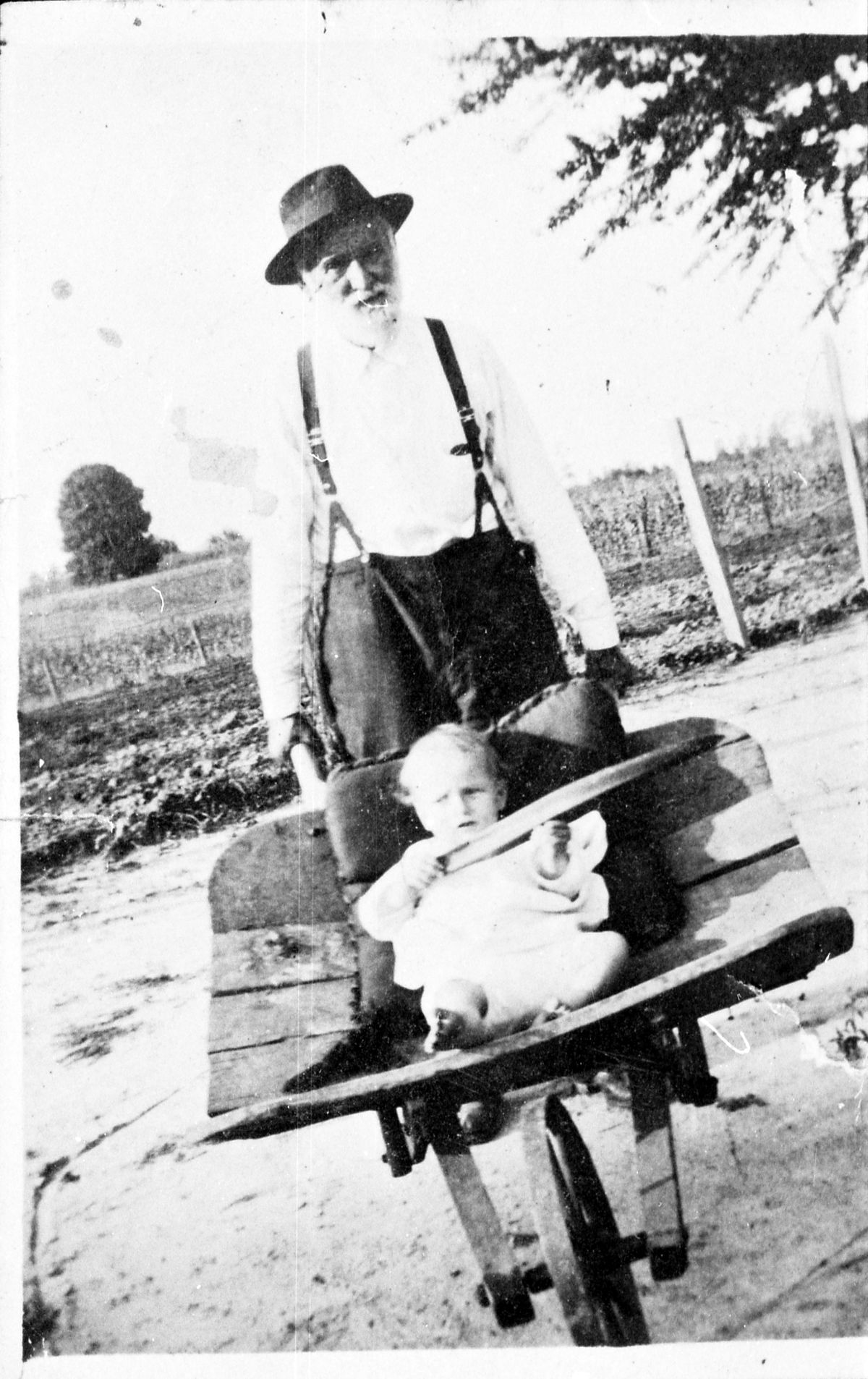 James Madison Groover rolling grandson Wyche Groover in wheelbarrow