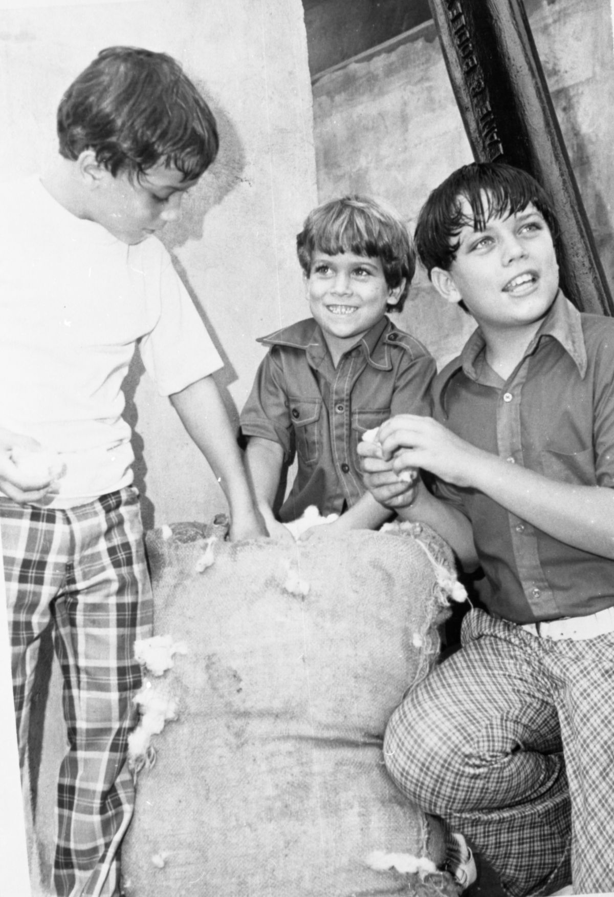 Copeland boys and a bag of cotton - Madison, Florida