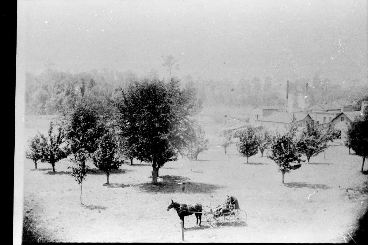View of Florida Manufacturing Company grounds - Madison, Florida