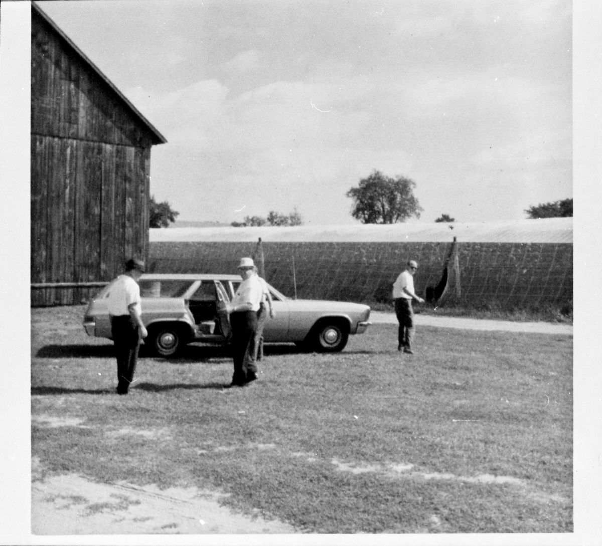 Tobacco barn and shade on the Fraleigh Farm - Madison, Florida