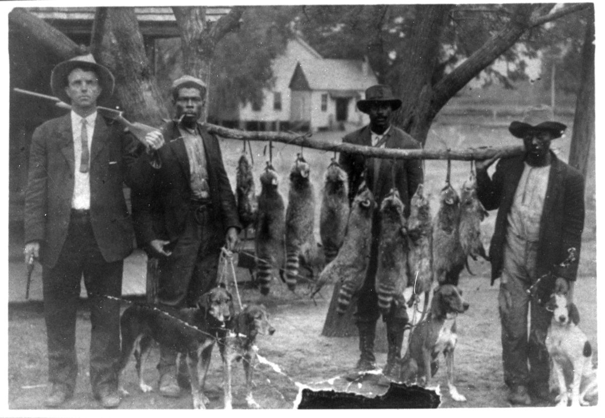 Lewis Joseph Sheffield and others with raccoons - Madison County, Florida
