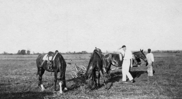 Millard Caldwell and farmworkers - Richmond, Virginia